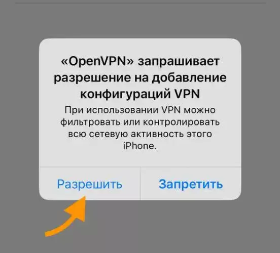 Изображение приложения OpenVPN